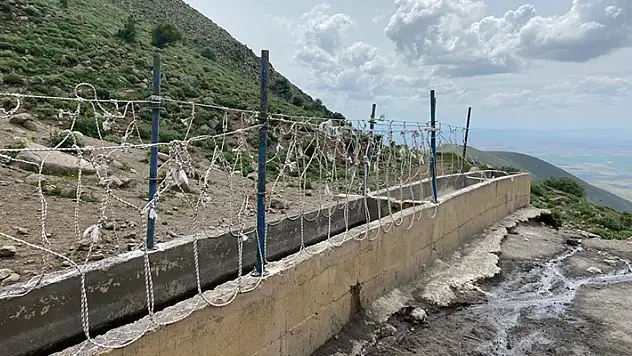 Karaman'da yılkı atlarını yakalamaya çalışan 2 kişi yakalandı 