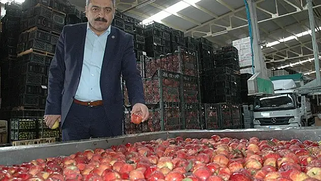 Karaman elma borsası olacak