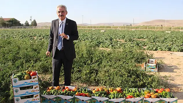 Karaman'ın Ayrancı ilçesinde halk, belediye sayesinde salatalık ve domatesin kilosunu 1 liradan alıyor
