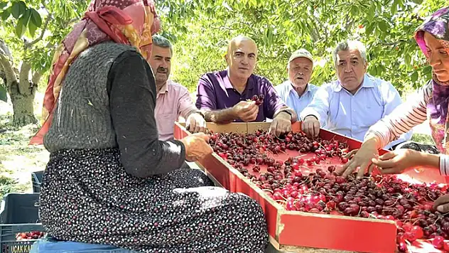Karaman Ziraat Odası Başkanı Bayram: Tüccar şu an 28-32 kalibre boyundaki kiraza 15 lira fiyat veriyor