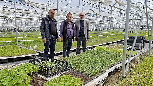 Karaman'da bir çiftçi kurduğu serada 5 milyon fide üretiyor