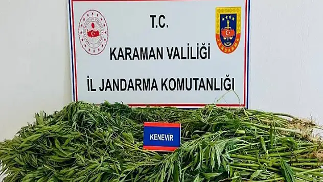Karaman'da kenevir operasyonu: 3 gözaltı
