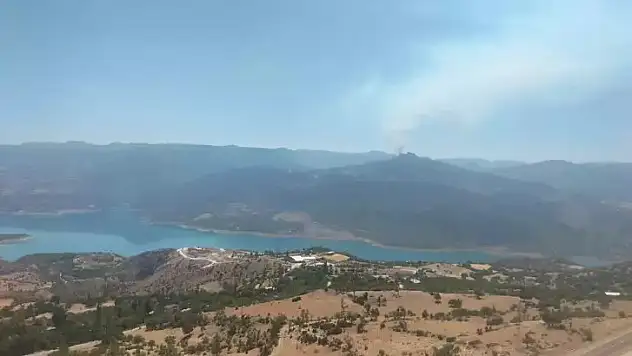 Karaman'da orman yangını