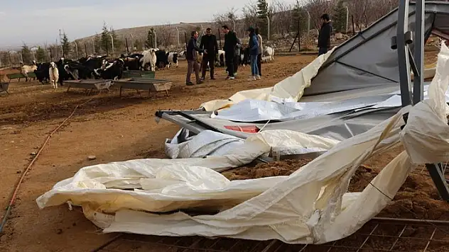 Karaman'da şiddetli rüzgar hayvan çadırlarını yıktı
