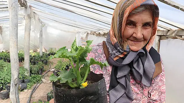 Karamanlı Havva nine yetiştirdiği sebze fideleriyle tarımsal üretime katkı sunuyor
