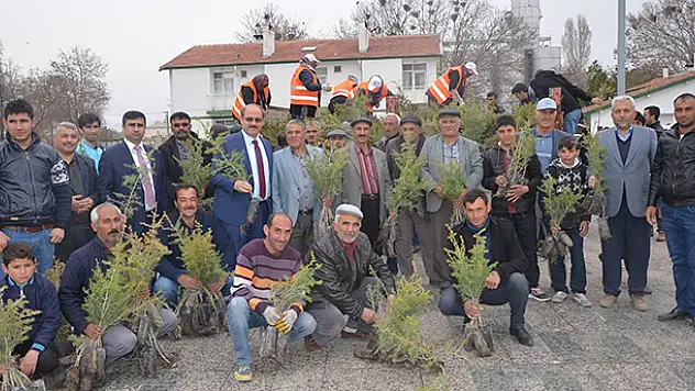 Karapınar'da 15 bin fidan dağıtıldı