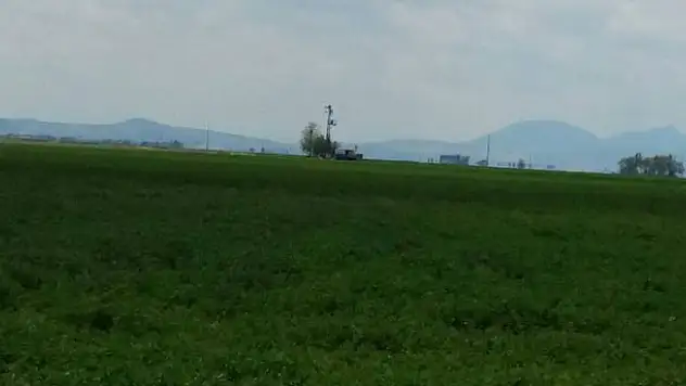 Karapınar'da 17 yaşındaki genç tarlada ölü bulundu