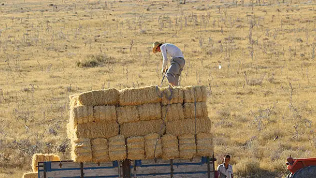 Karapınar'da buğday hasatında sona gelindi