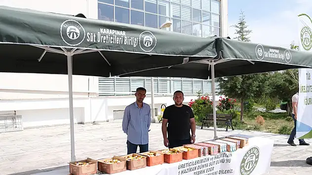 Karapınar'da Dünya Süt Günü etkinliği düzenlendi
