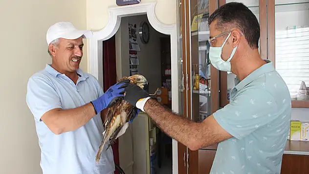 Karapınar'da elektrik direğindeki yuvasında mahsur kalan kartal kurtarıldı
