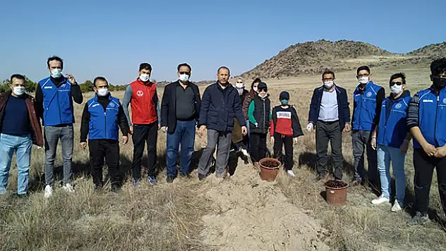 Karapınar'da Erozyon Sahası'na meşe palamudu ekildi