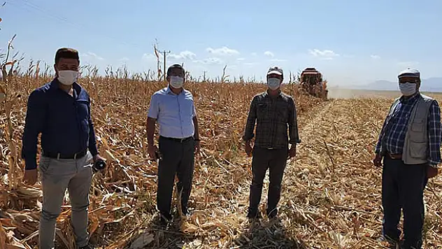 Karapınar'da fırtınada zarar gören tarım alanları incelendi
