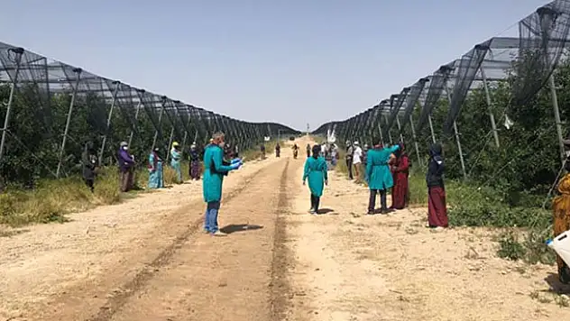 Karapınar'da mevsimlik tarım işçilerine sağlık taraması yapıldı