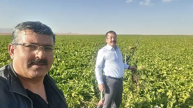 Karapınar'da mısır ve şekerpancarı mesaisi
