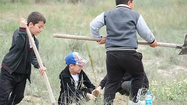 Karapınar'da öğrenciler 'İlk Sınıfım, İlk Fidanım' projesiyle çam dikti
