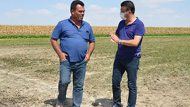Karapınar'da pancar üreticileri tarlalarında ziyaret edildi