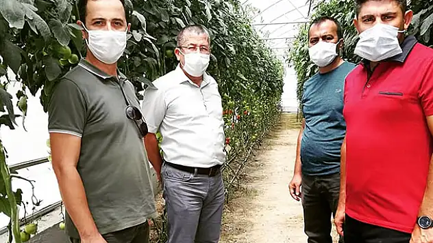Karapınar'da sera alanlarında inceleme