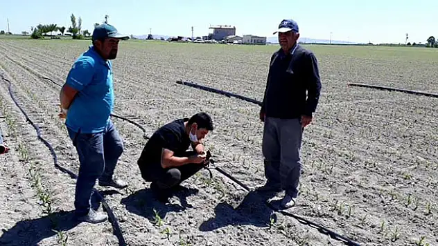 Karapınar'da üreticiler tarlada uzmanlarca bilgilendiriliyor