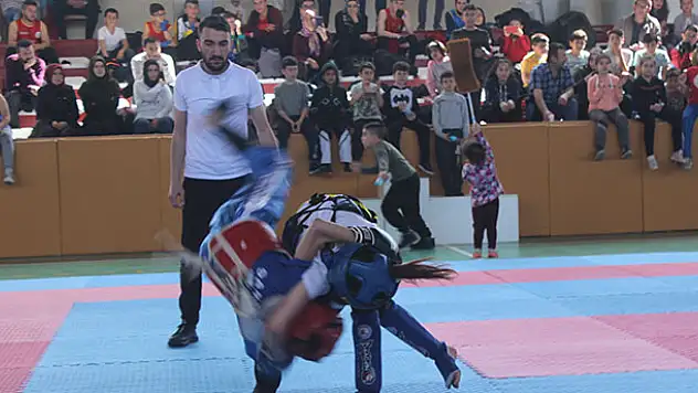 Karapınar'da Wushu Konya Bölge şampiyonası yapıldı