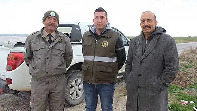 Karapınar'da yaban hayvanlarına yem bırakıldı