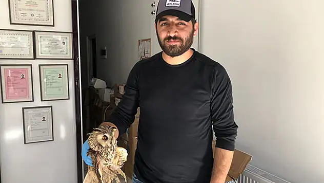 Karapınar'da yaralı bulunan baykuş, tedavi altına alındı