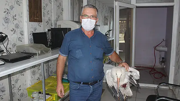 Karapınar'da yaralı leylek tedavi altına alındı
