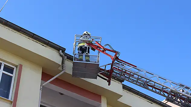 Karapınar'da yuvadan düşen yavru kumru, yuvasına bırakıldı
