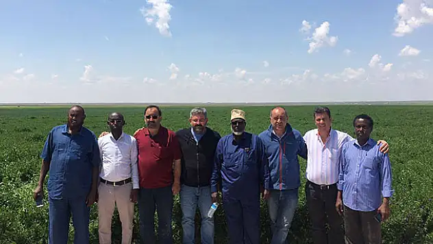Karapınar Yoncası Somali'ye ihraç edilecek