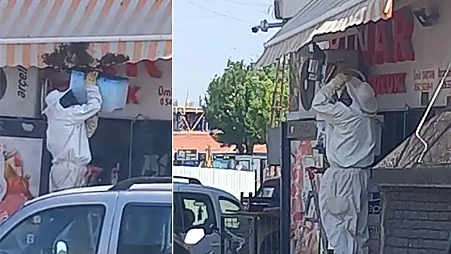 Karapınar'da arı paniği