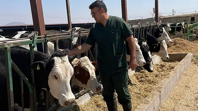 Karapınar'da büyükbaş hayvanlar aşılanıyor