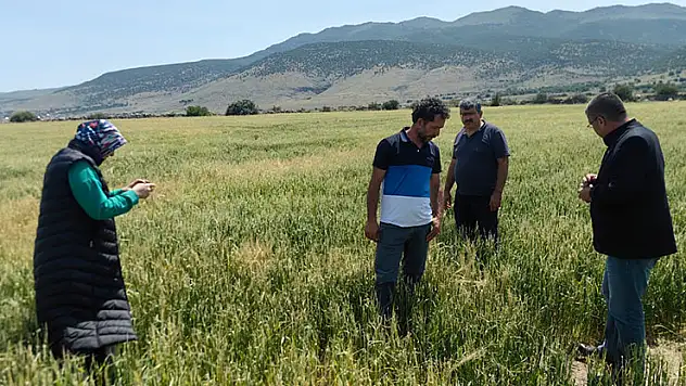 Karapınar'da dolu ve sel felaketinde etkilenen bölgelerde incelemelerde bulunuldu