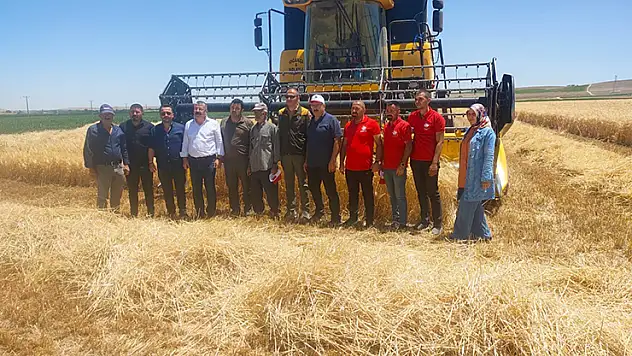 Karapınar'da hububat hasadı devam ediyor