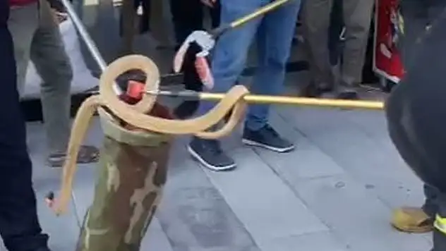 Karapınar'da park halindeki otomobilin altından yılan çıktı
