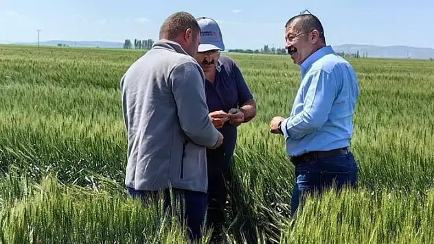 Karapınar'da tarım arazilerinde hasar tespit çalışmaları sürüyor
