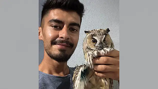 Karapınar'da tellerde yaralanan kulaklı orman baykuşu kurtarıldı