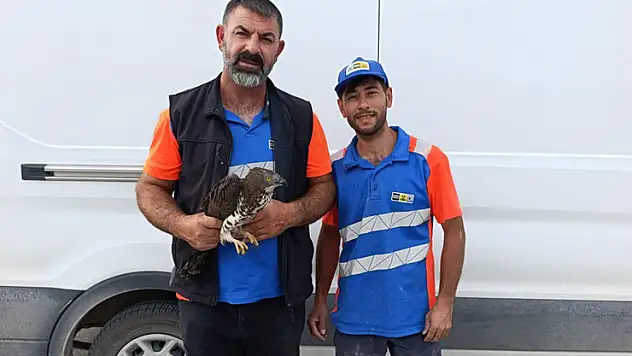 Karapınar'da yaralı kızıl şahine şefkat eli