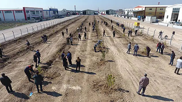 Karatay Belediyesi personeli, hatıra koruluğuna ağaç dikti