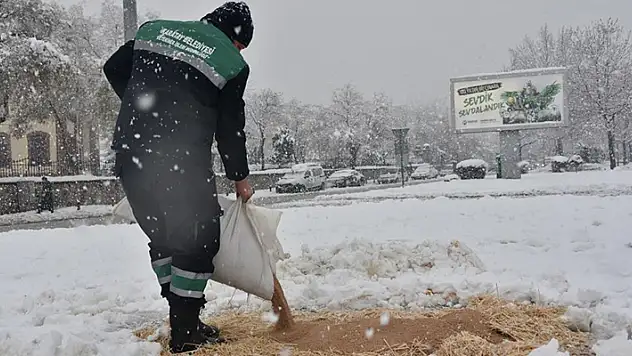 Karatay Belediyesi sokak hayvanlarını unutmadı
