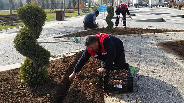 Karatay Belediyesinin parkları baharı çiçeklerle karşılayacak
