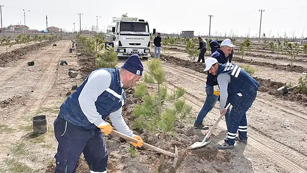 Karatay'da ağaçlandırma çalışmaları sürüyor