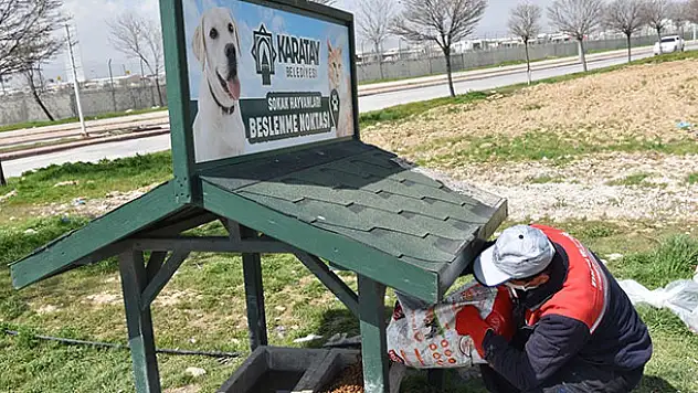 Karatay'da sokak hayvanları unutulmuyor
