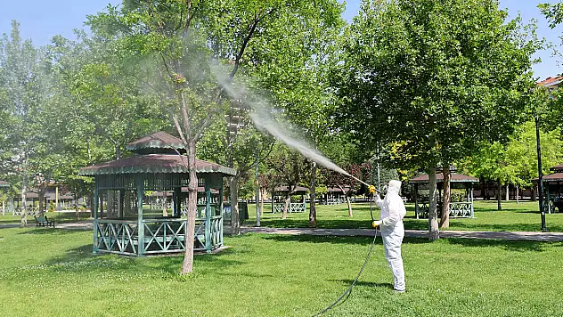 Karatay'da tüm ilçe ilaçlanıyor