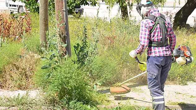 Karatay'da yabancı ot temizliği sürüyor