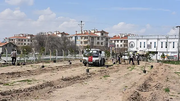 Karatay'da yeşillendirme çalışmaları devam ediyor
