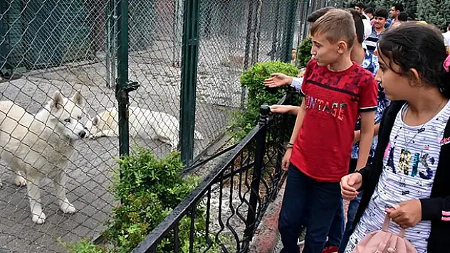 Karatay'dan öğrencilere Bilim Merkezi ve hayvanat bahçesi gezisi