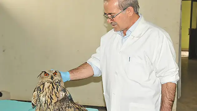 Karatay Hayvanat Bahçesi'ne yeni misafir
