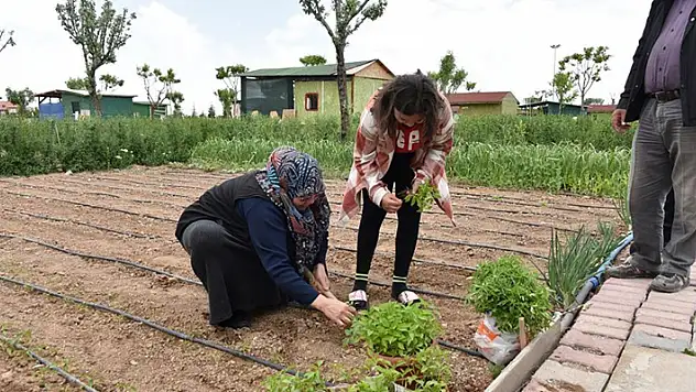 Karatay Hobi Bahçelerinin sakinleri ekim sezonunu açtı
