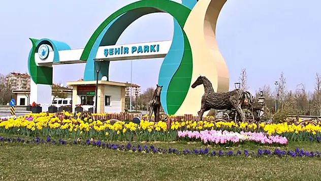 Karatay'ın parkları baharı lalelerle karşıladı