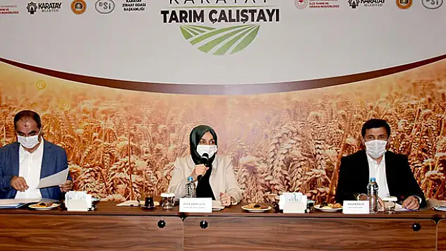 Karatay'ın tarımı iki gün boyunca masaya yatırıldı