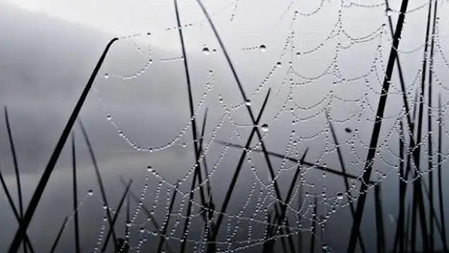Karatay Kent Konseyi'nin fotoğraf yarışması sonuçlandı